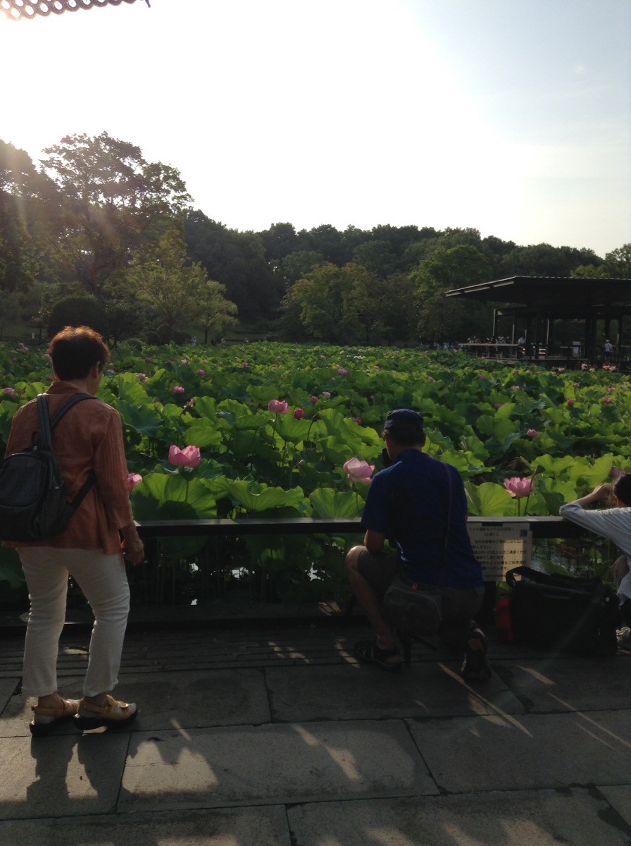 万博公園、象鼻杯1